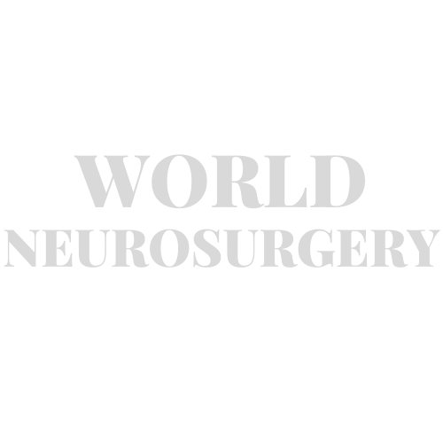 World Neurosurgery Footer Logo